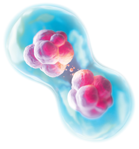 Global Cell background